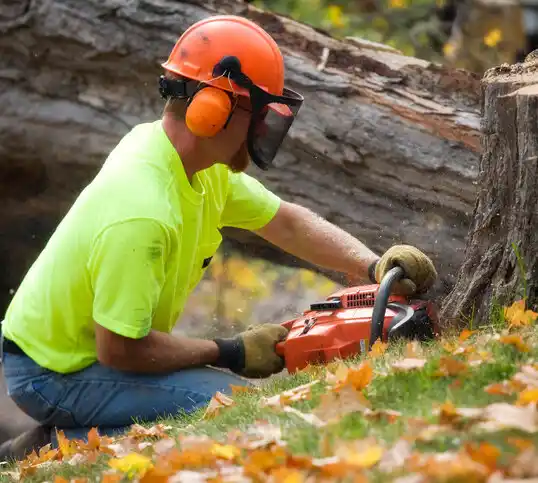 tree services Crosby